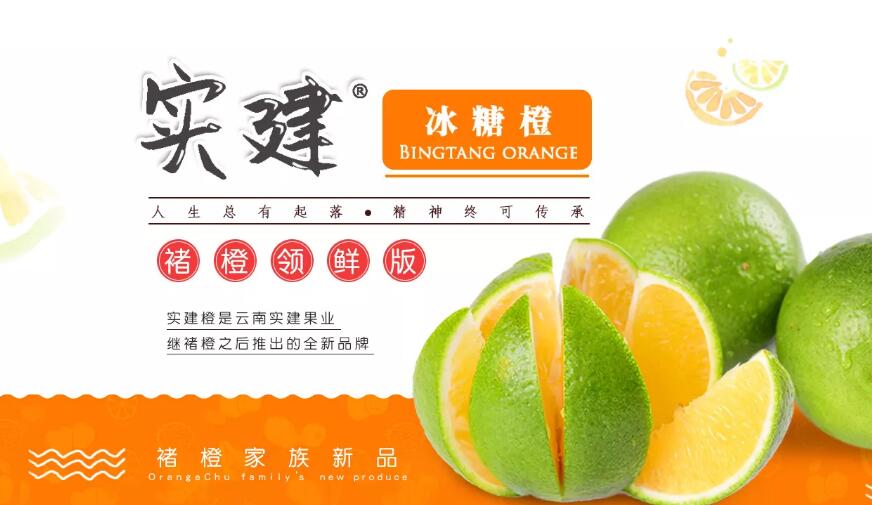 实建橙